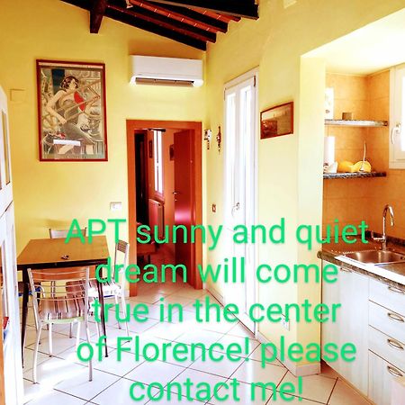 Apt Bright, Quiet! In The Center. Florence Extérieur photo