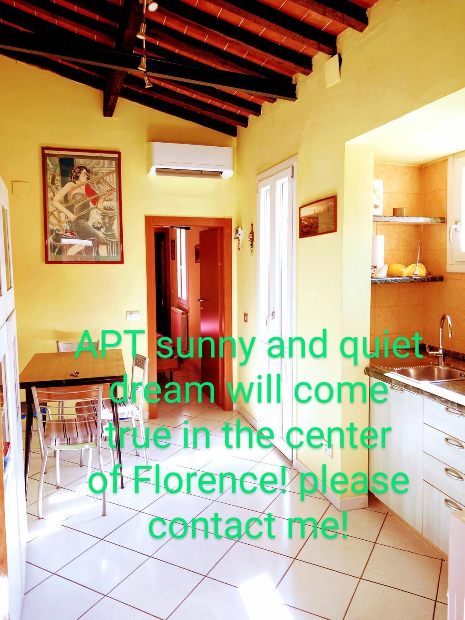 Apt Bright, Quiet! In The Center. Florence Extérieur photo
